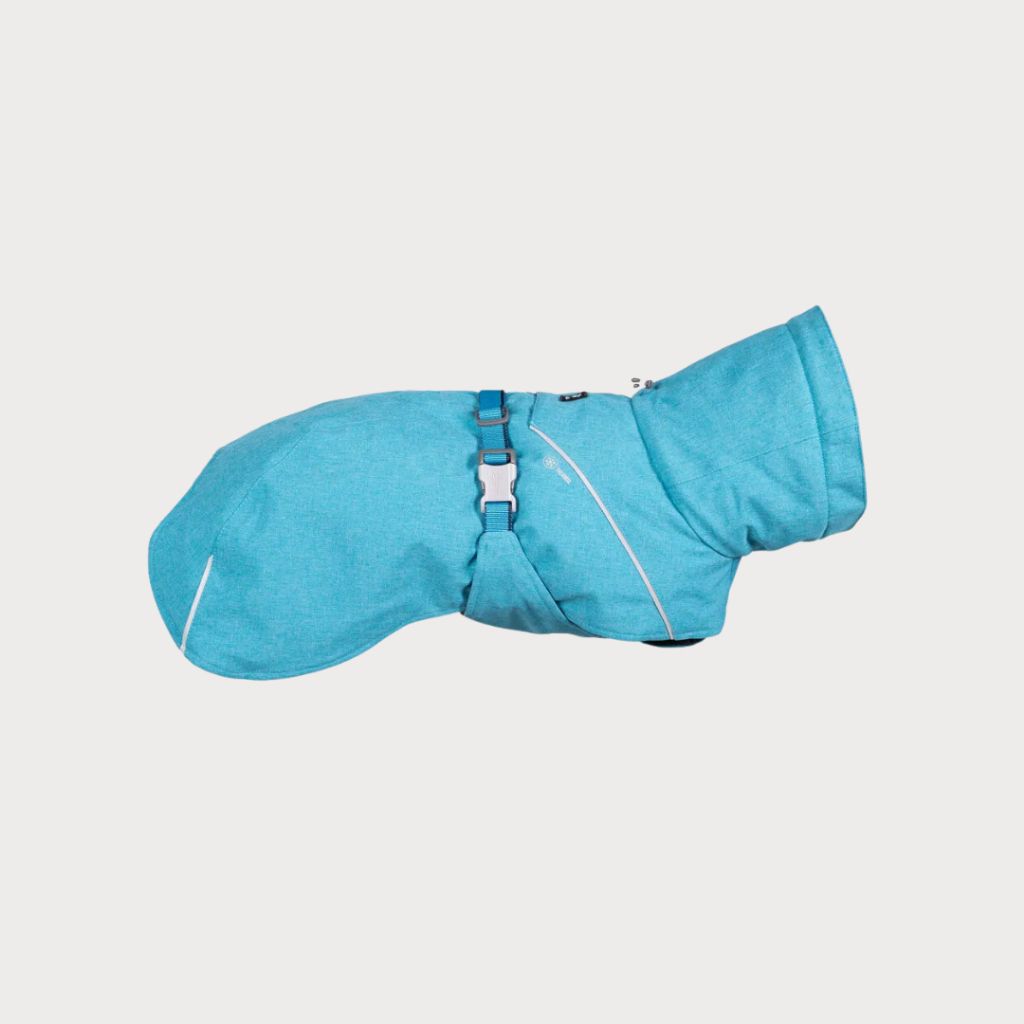 tw-11134207-81ztq-mgyvvp4q9ij01c