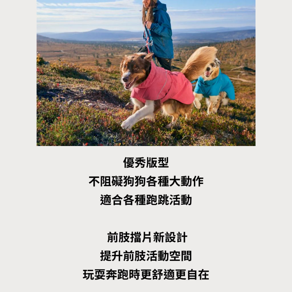 tw-11134207-81ztm-mgyvndk2r7dbdb