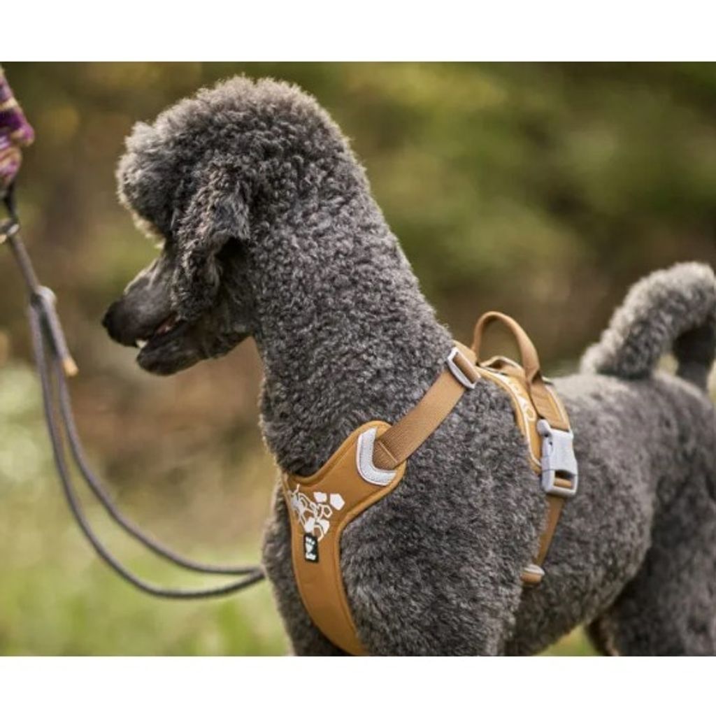 sg-11134201-22100-affmjwsomriv79