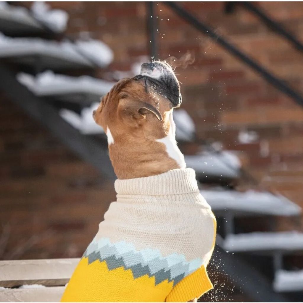 tw-11134207-7r992-lo0vo56lx7p527