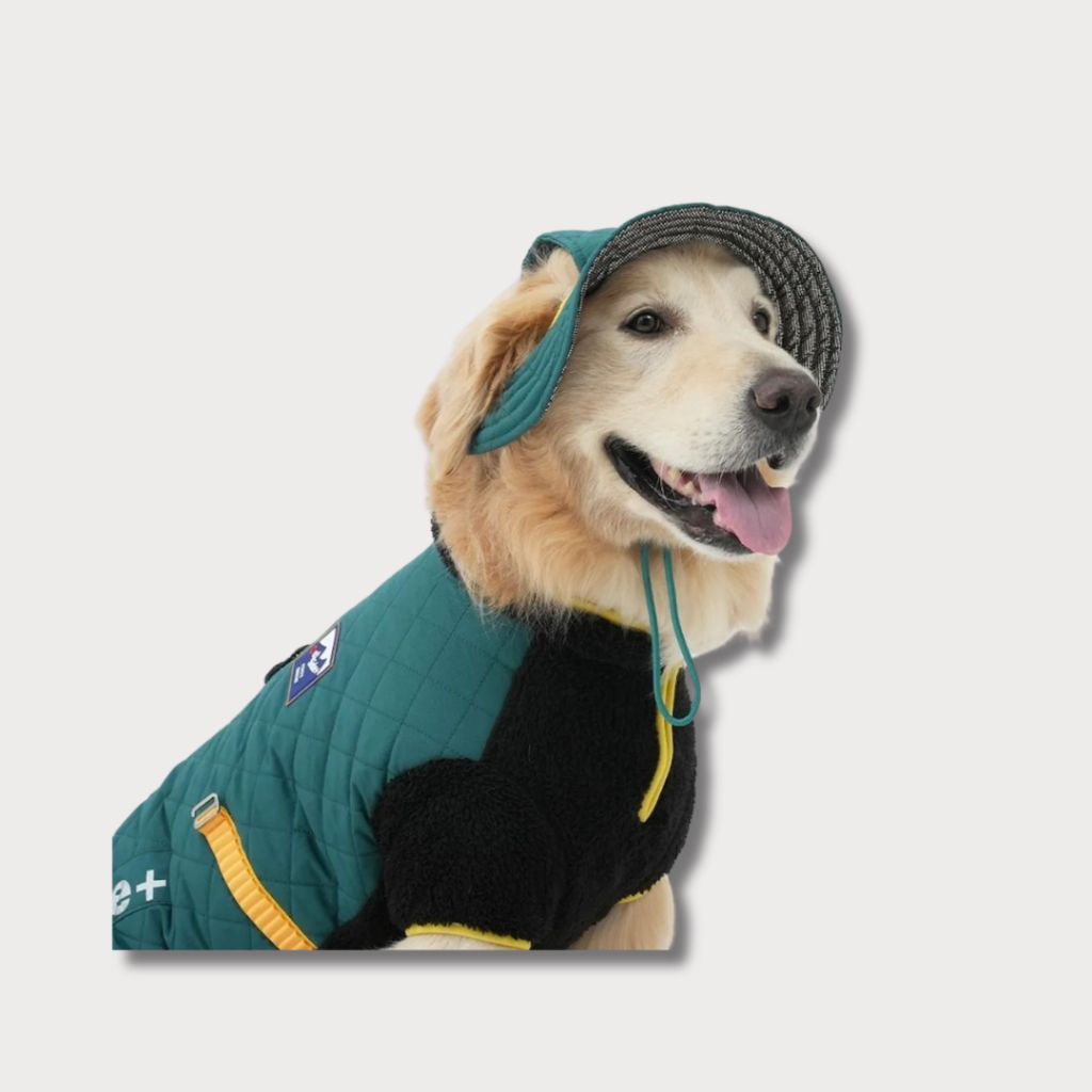 tw-11134207-81ztq-mefhiyzzs0ea4f