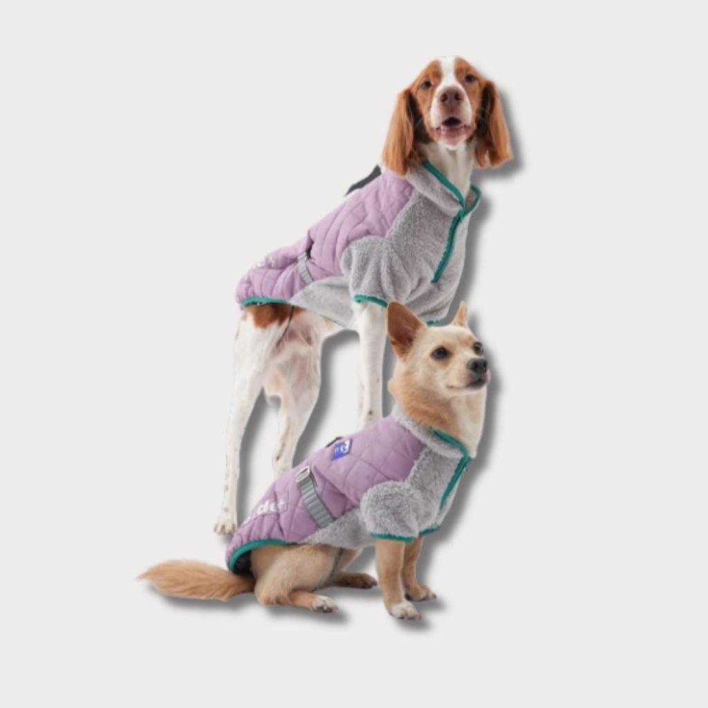 tw-11134207-81zte-mefhj1u2c8hz46