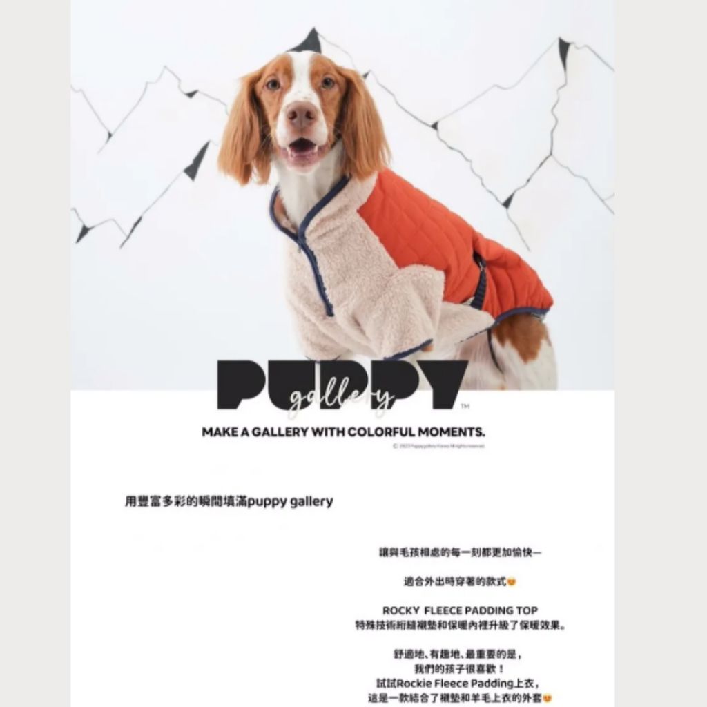 tw-11134207-81ztd-mefhecc1sqva1a