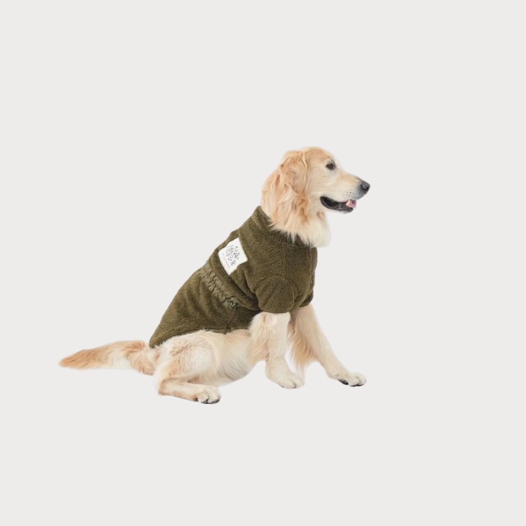 tw-11134207-81ztg-meflvy39hm9x45