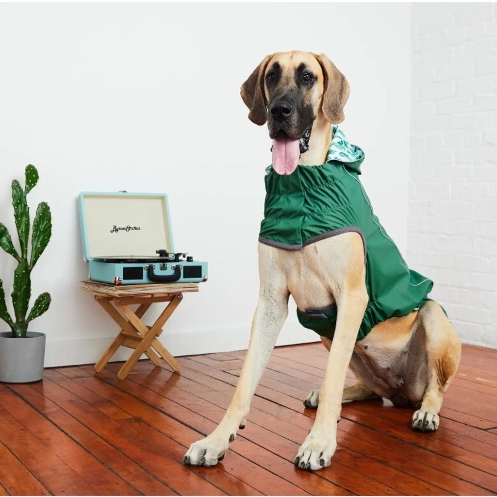 tw-11134207-7r98s-lo0vo5kheazh24