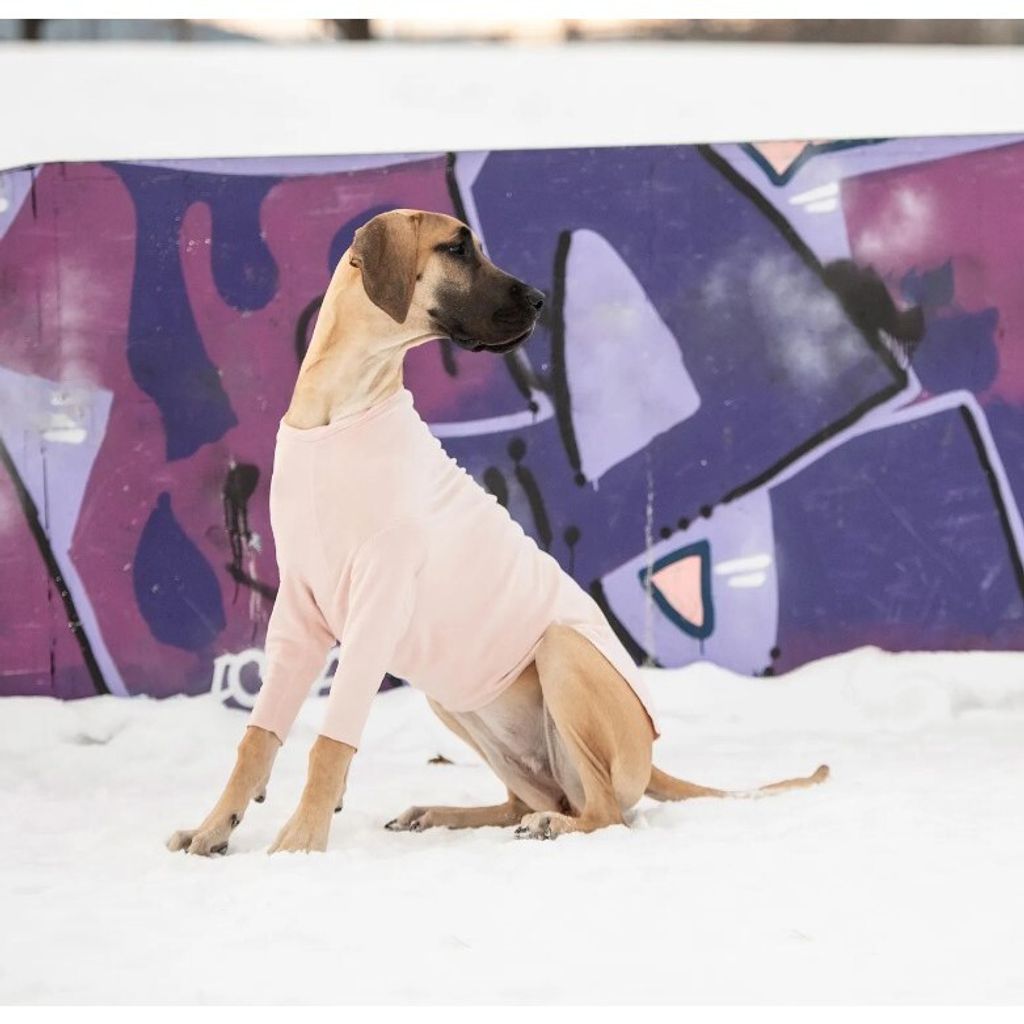 tw-11134207-7r98z-lo238co8408p48