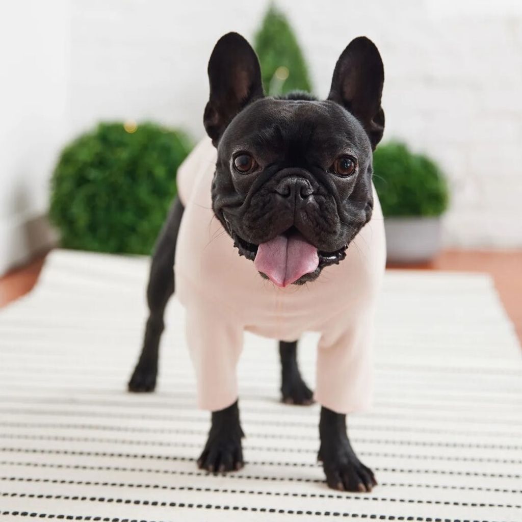 tw-11134207-7r98t-lo238co8b12x7b