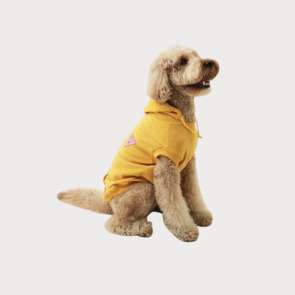 tw-11134207-81ztj-meh2gpnyobuvef