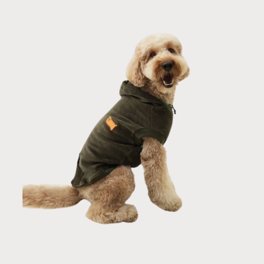 tw-11134207-81ztq-meh2gvge1eyu5e