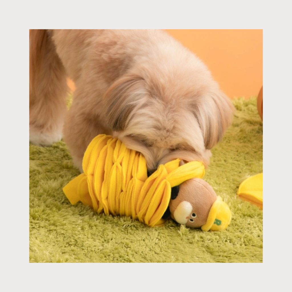 tw-11134207-81zti-mgxcs9aqq8lmd9