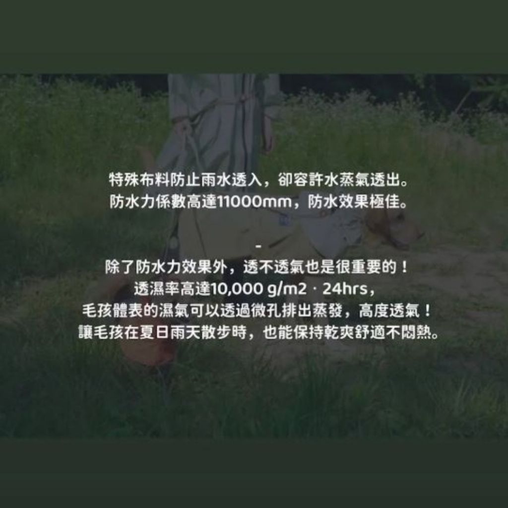 tw-11134207-7rbk0-makvn0pl72s631