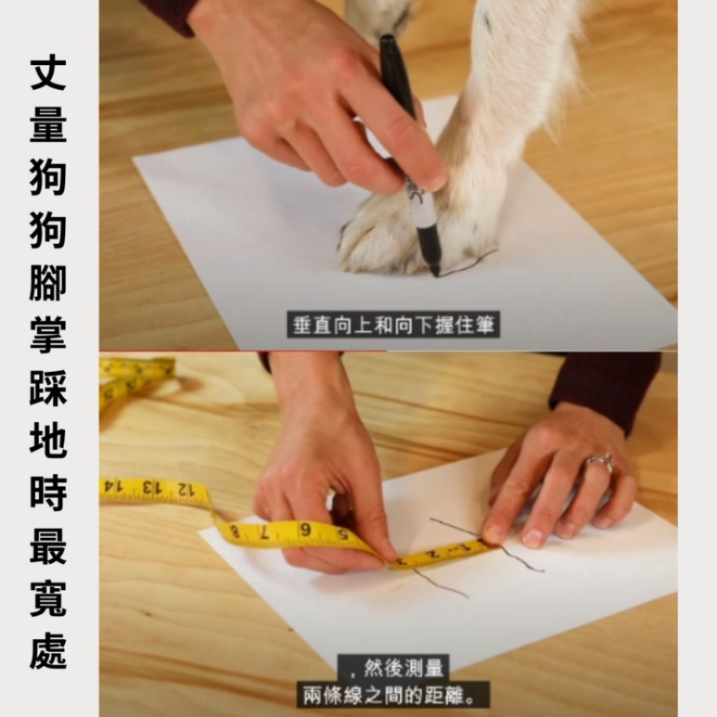 tw-11134207-7rbke-m6xtqu3dhnmsde