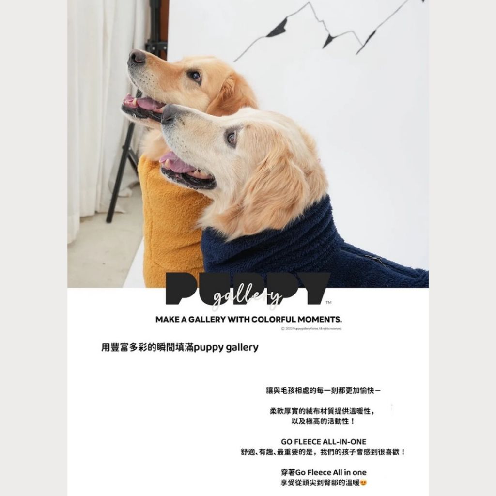 tw-11134207-81zte-megx5zj1gkcj74