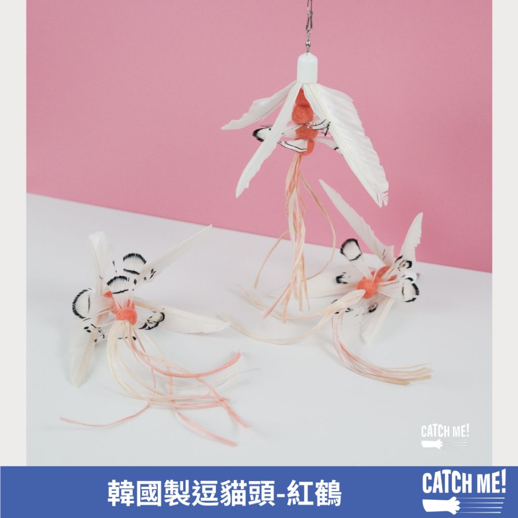 tw-11134207-7r98z-lz73xdizvgnye8