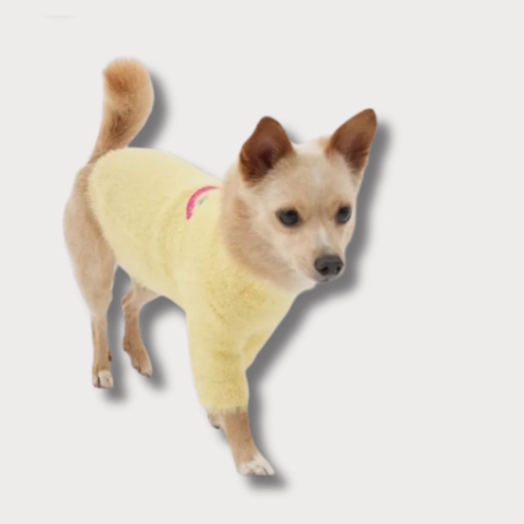 tw-11134207-81ztj-megss8s5u4n8d7