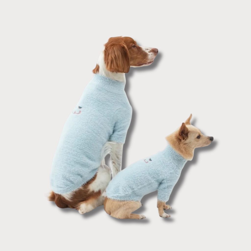 tw-11134207-81ztp-megsscq0q5ty05