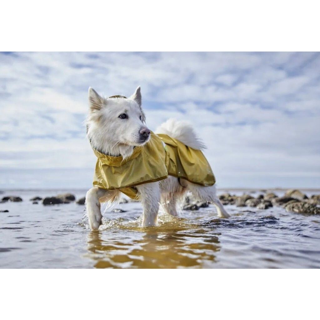 tw-11134207-7r98r-lmihvahizpgb83