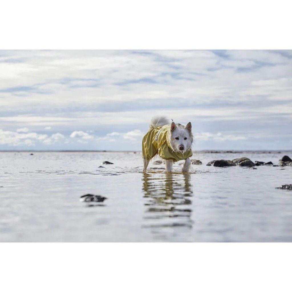 tw-11134207-7r98w-lmihvahj140r2f