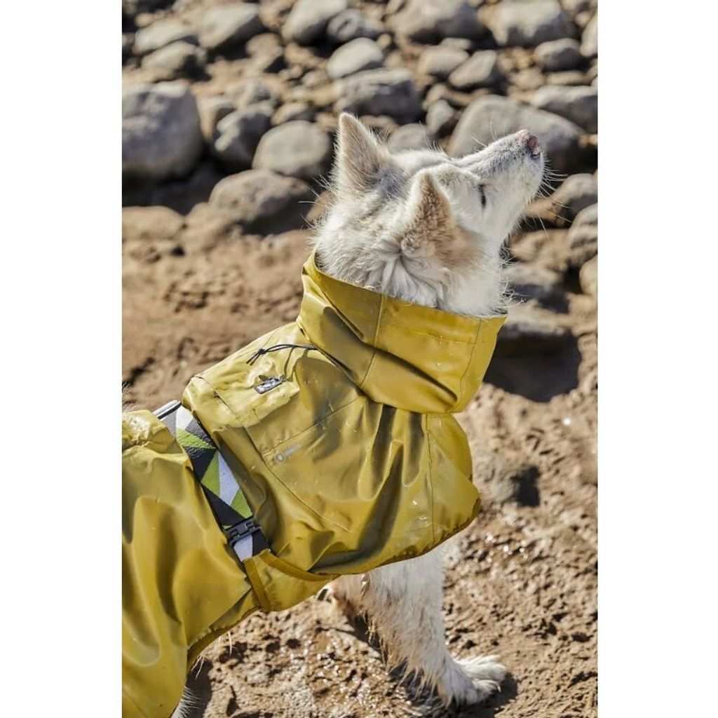 tw-11134207-7r98x-lmihvahj3x5n42