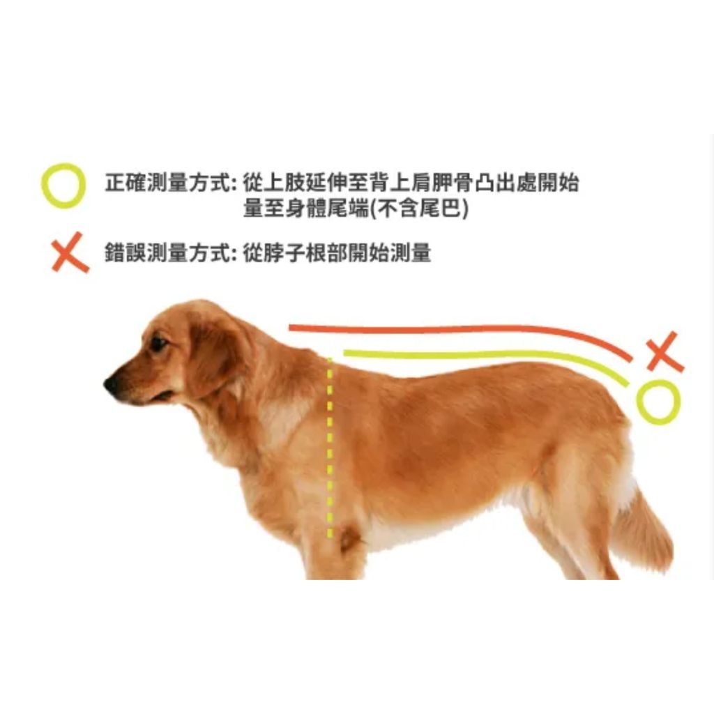 tw-11134207-7r98v-lzumw9qfk5pw3c