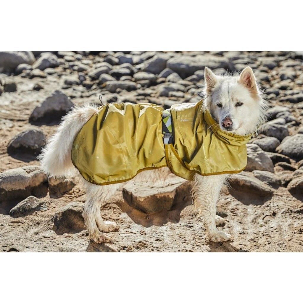 tw-11134207-7r98r-lmihvahj5bq391