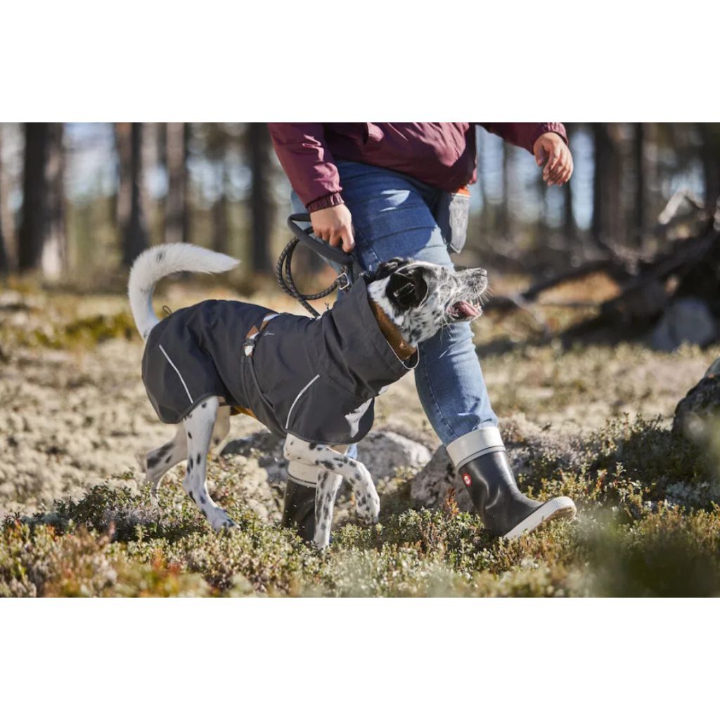 tw-11134207-7r98y-lm4ec4bm5g2hf9