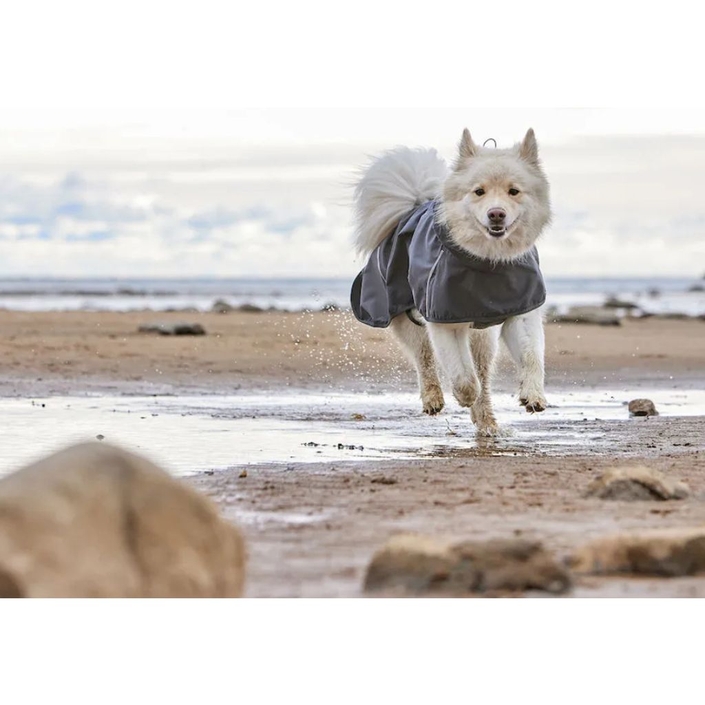 tw-11134207-7r98x-lm4ec4bm6umx2b