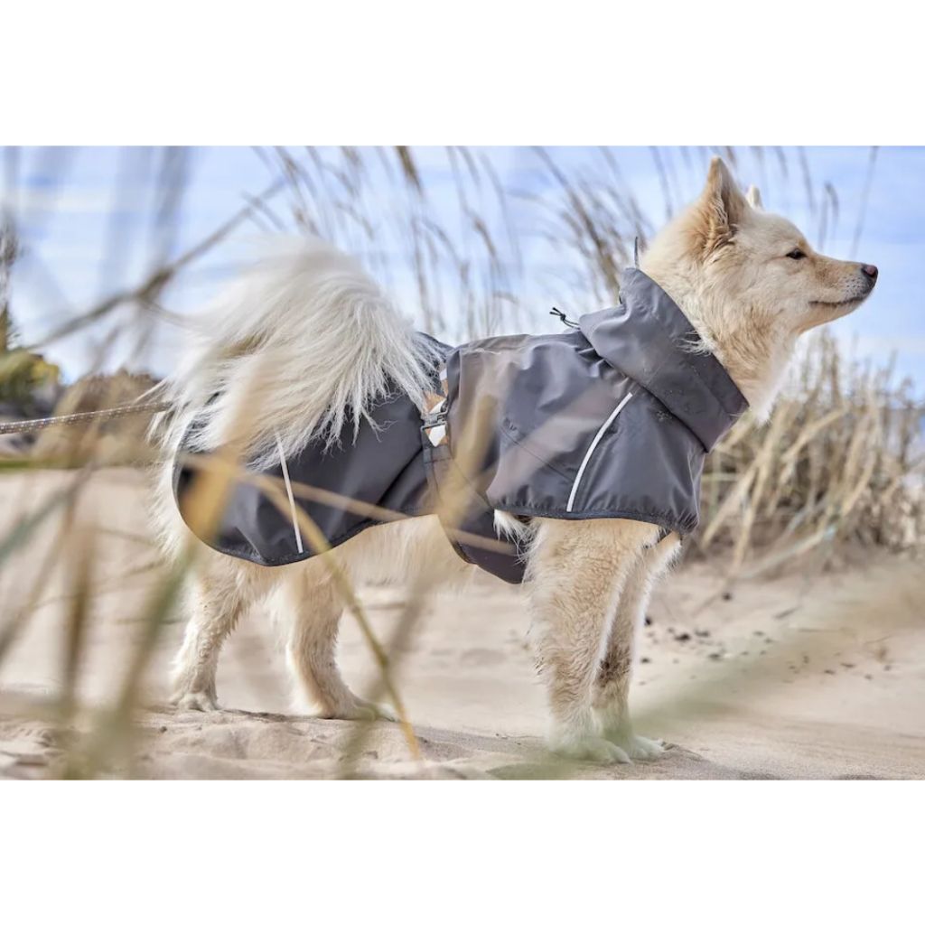 tw-11134207-7r98s-lmihvahivhqz69