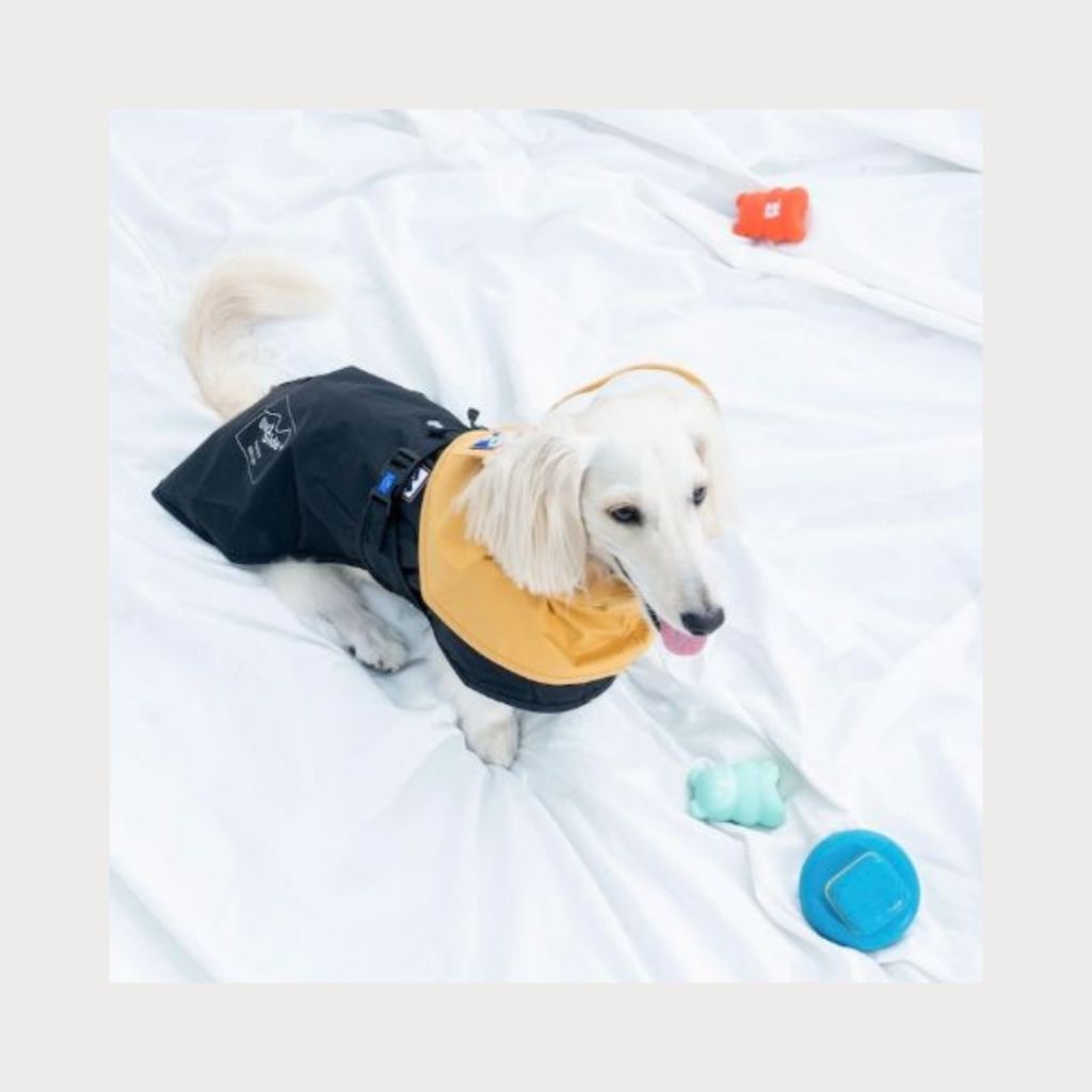 tw-11134207-7rbk9-majioz24nx3s9f