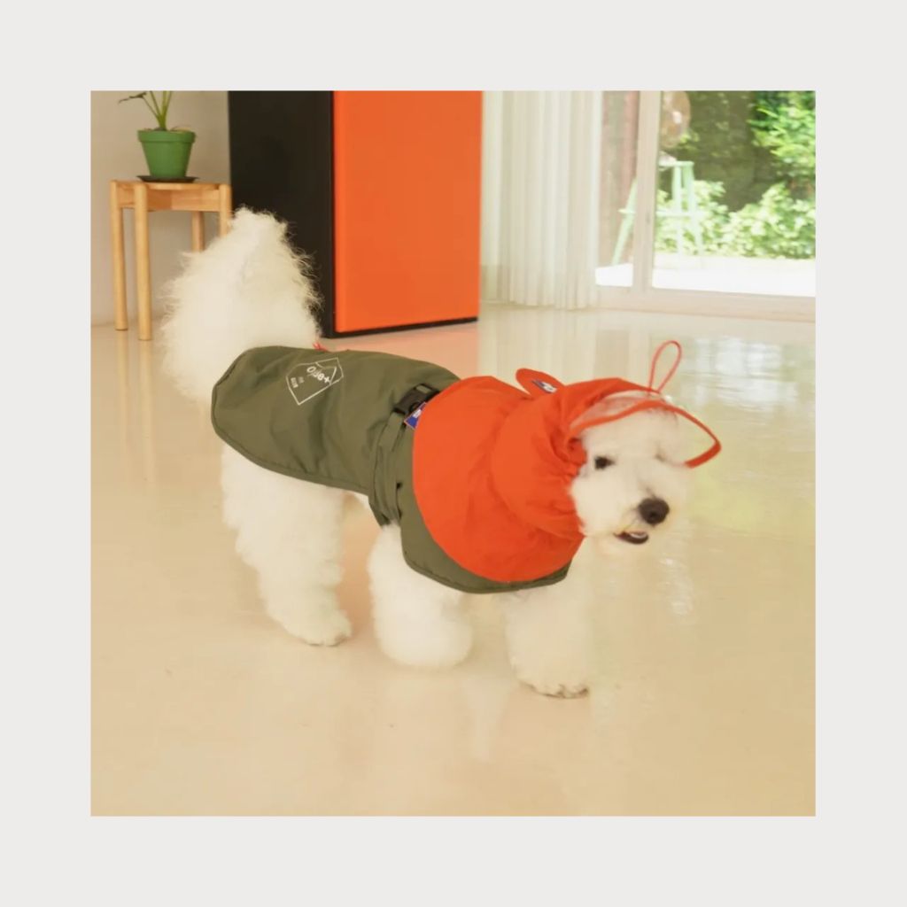 tw-11134207-7rbk7-majip73iwf6e5e