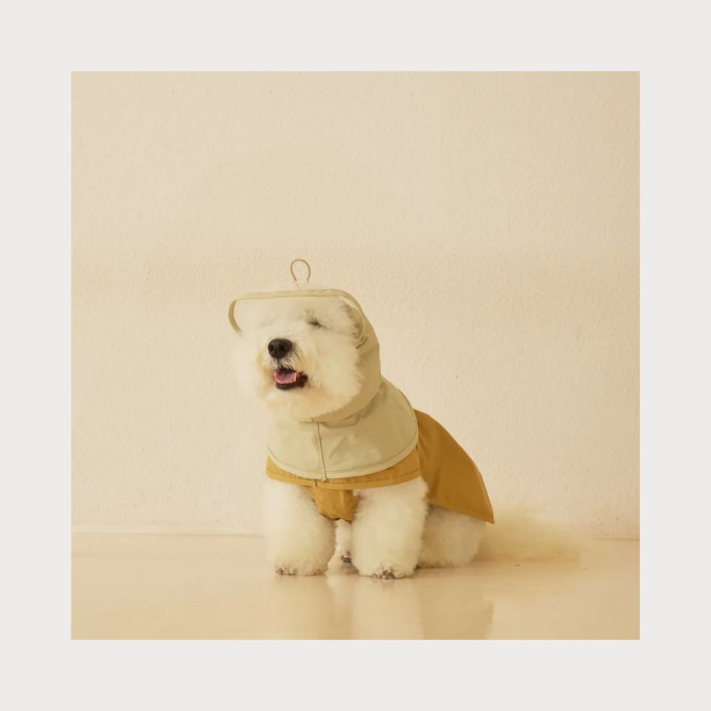 tw-11134207-7rbkd-majip947y1jse1