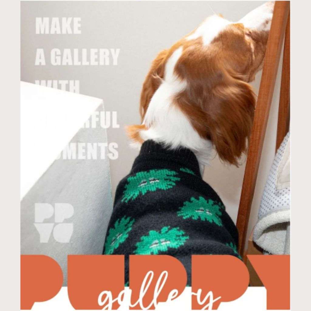 tw-11134207-81zth-me6vqb88j6kn8c