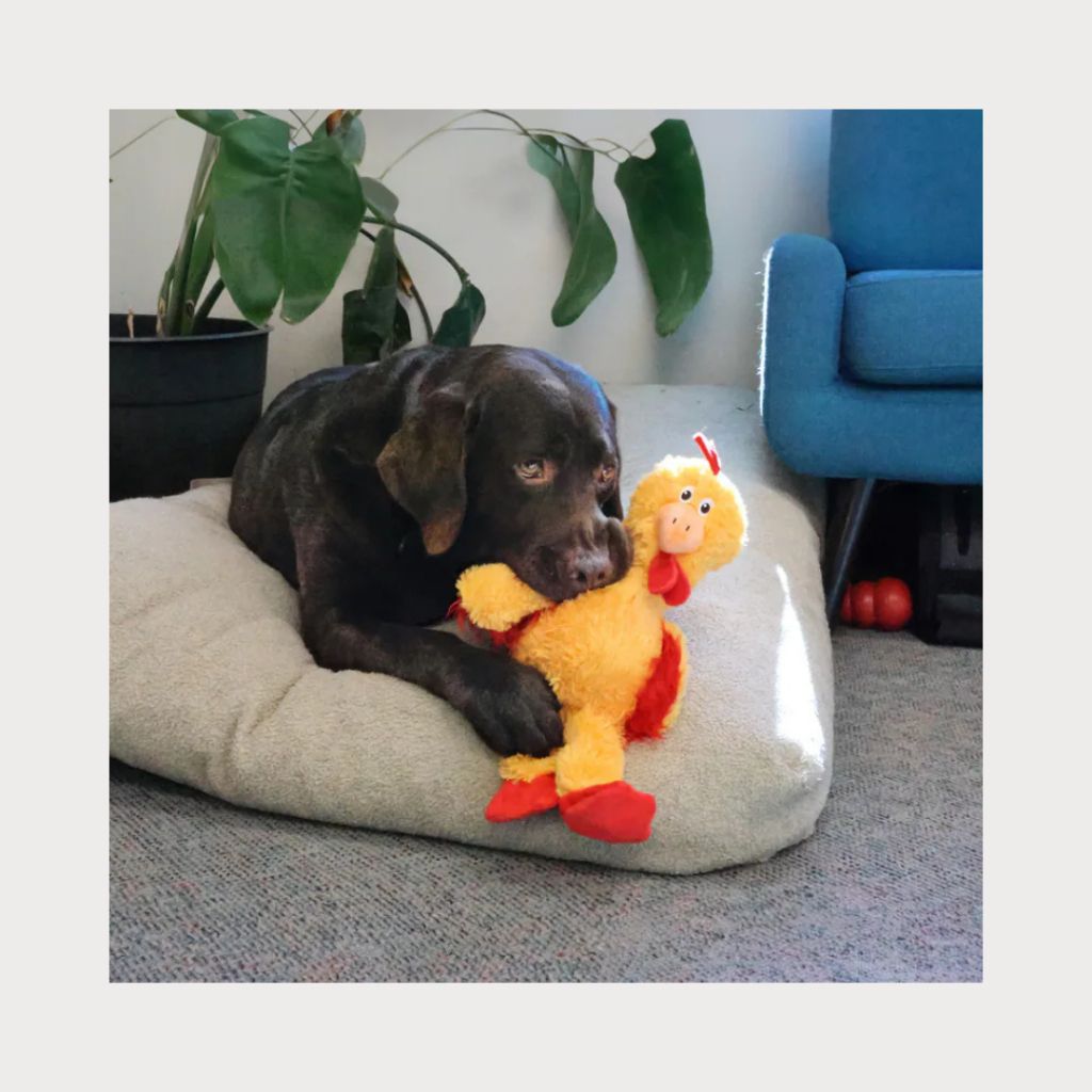 tw-11134207-81ztq-mgx7k4jokcgee4