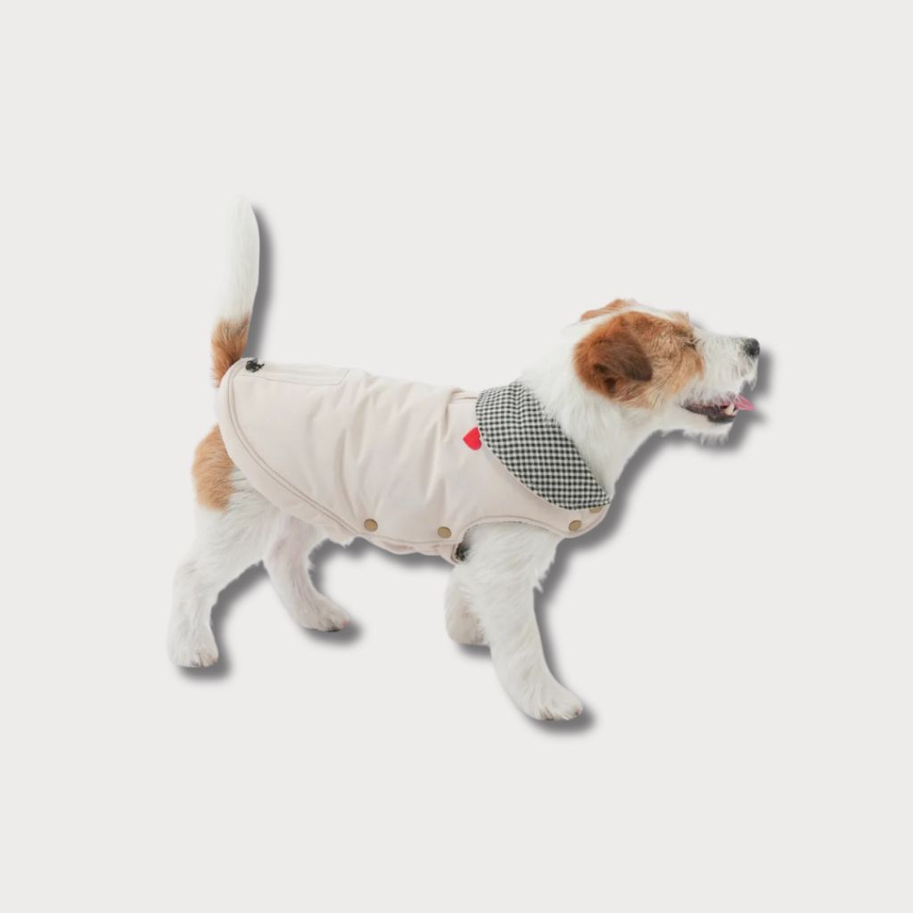 tw-11134207-81zto-megyogslb2teb7