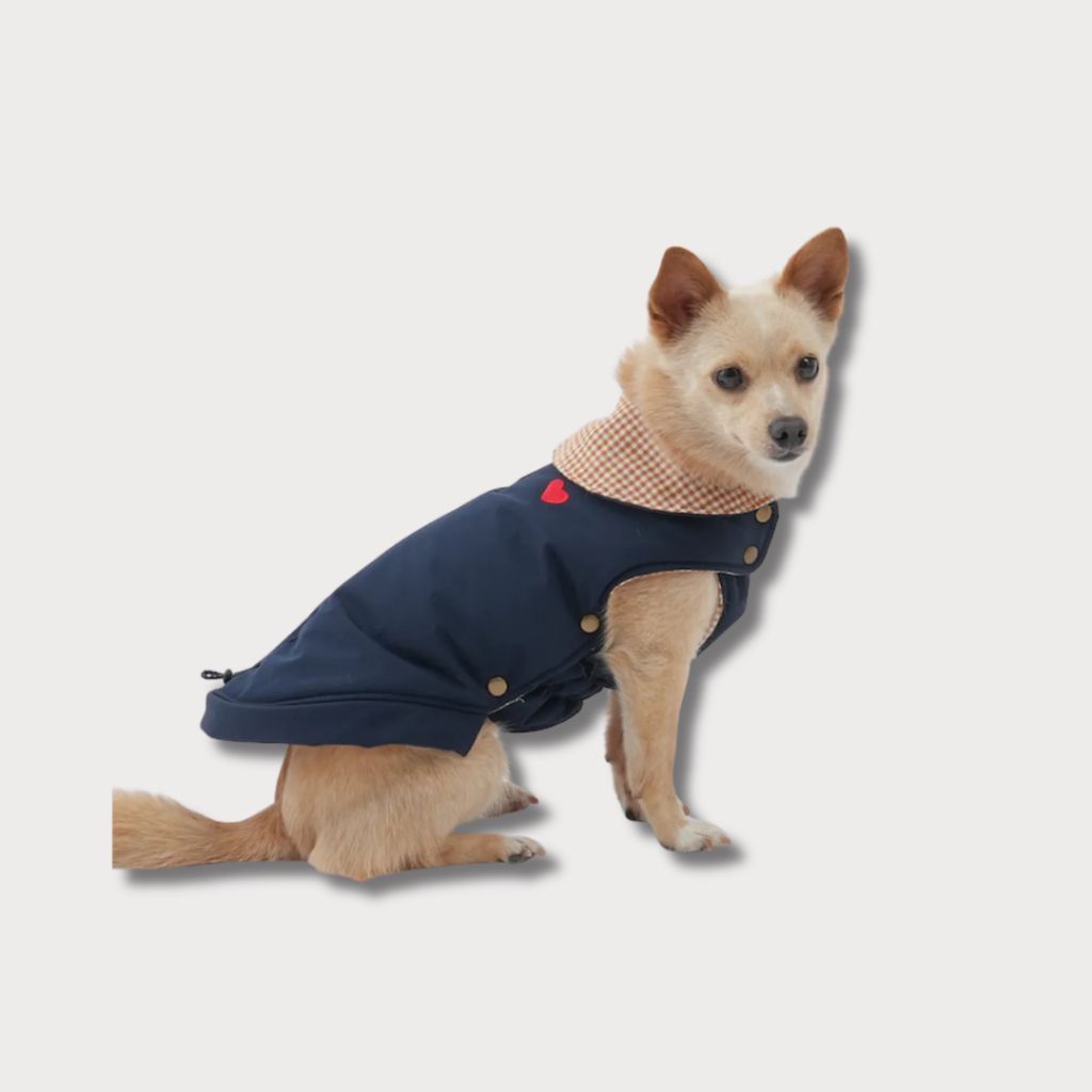 tw-11134207-81ztl-megyoni1g269fb