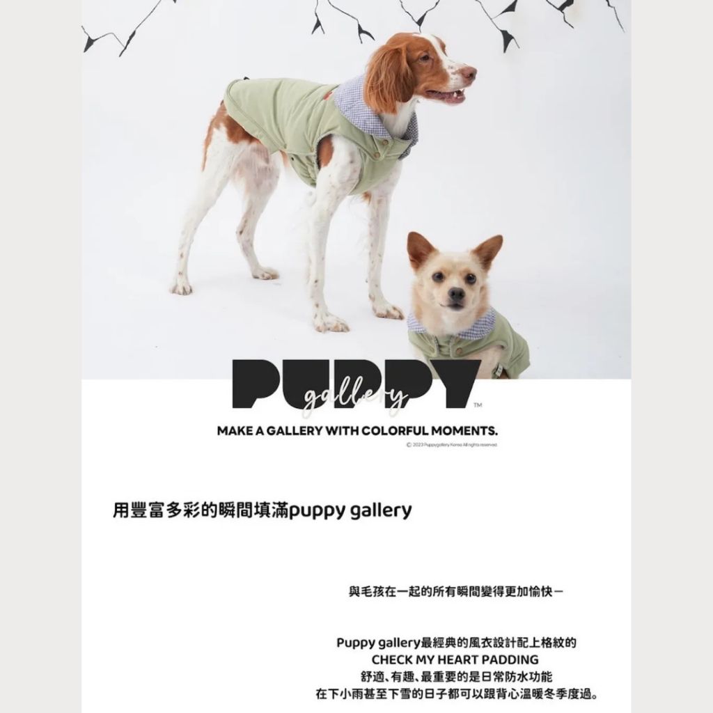 tw-11134207-81zte-megymyc9gw7a18