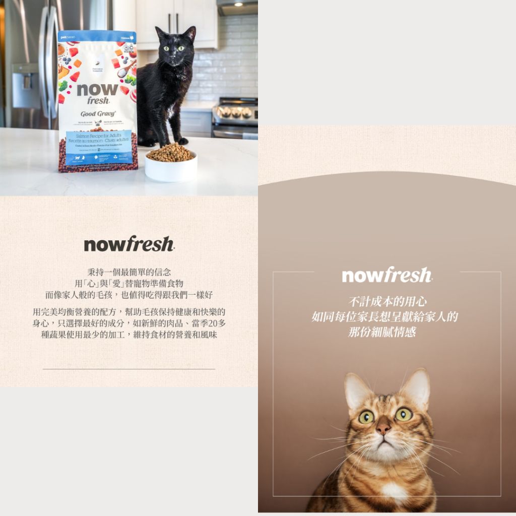 tw-11134207-81ztf-mgewijpquvbg4e