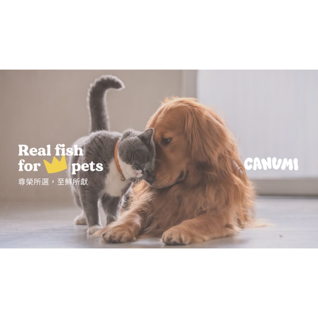 tw-11134207-81zte-mgenikq0zztb74