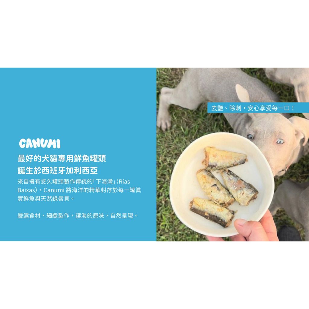 tw-11134207-81ztq-mgeninohgw7c9a