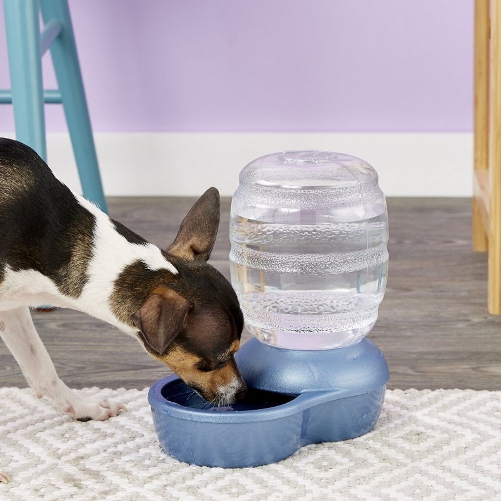 21c5626c97859a4efb9a1fbf3205fb9f