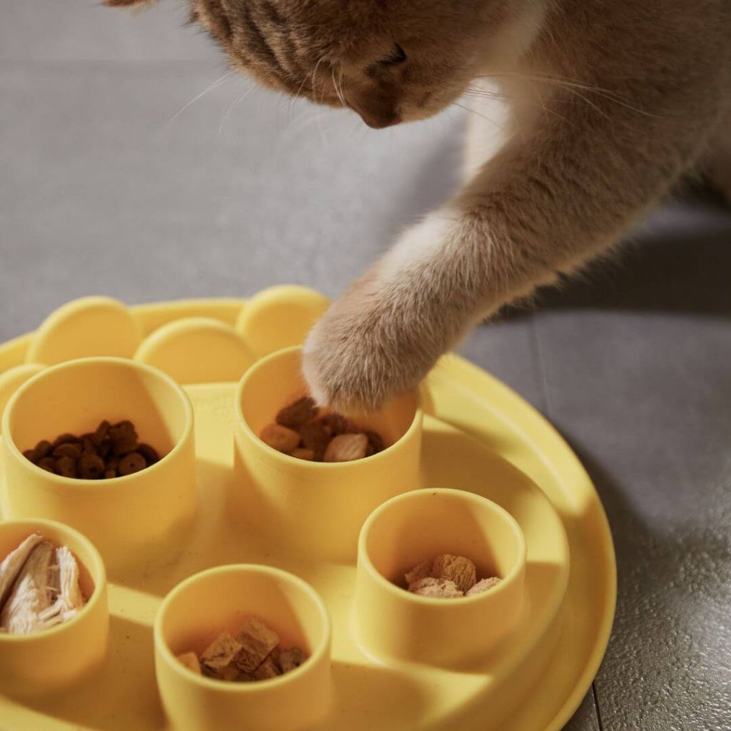 tw-11134207-81ztl-mgd9lsuhidxmff