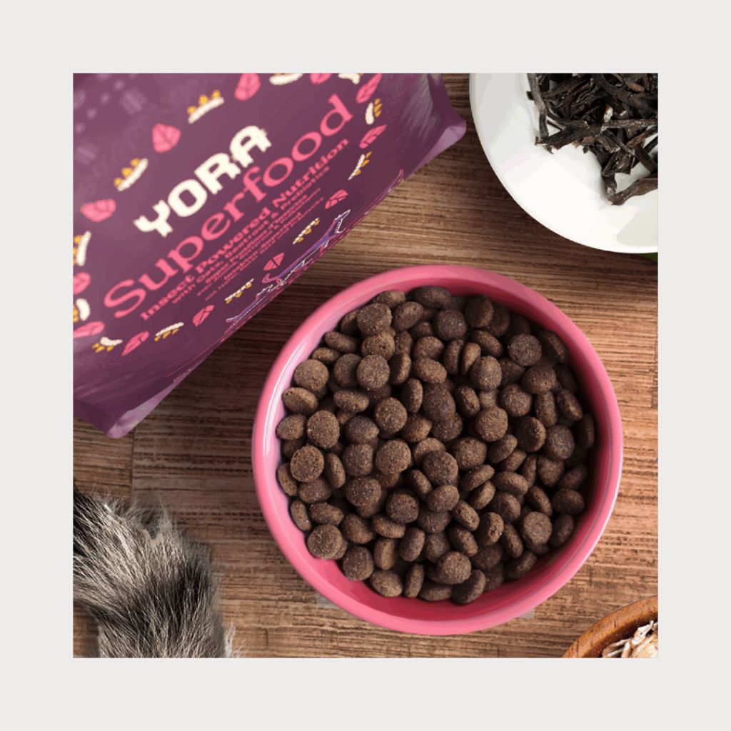 tw-11134207-81ztf-mg37hyaevhfs6a