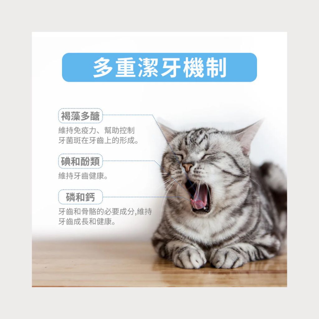 tw-11134207-81zte-mfj7gx6eboqw4a