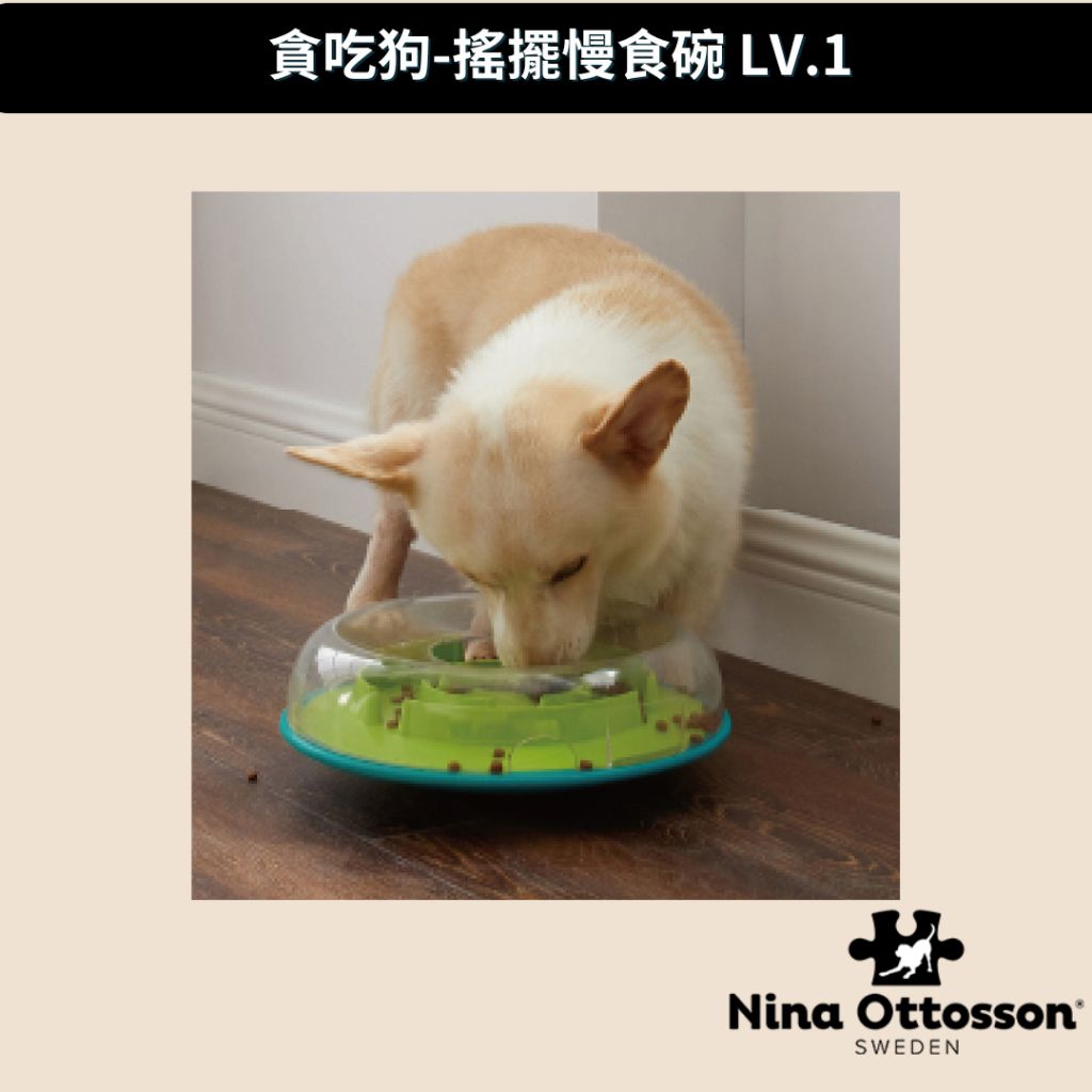 tw-11134207-7r98z-lwdyy1z91x5y34