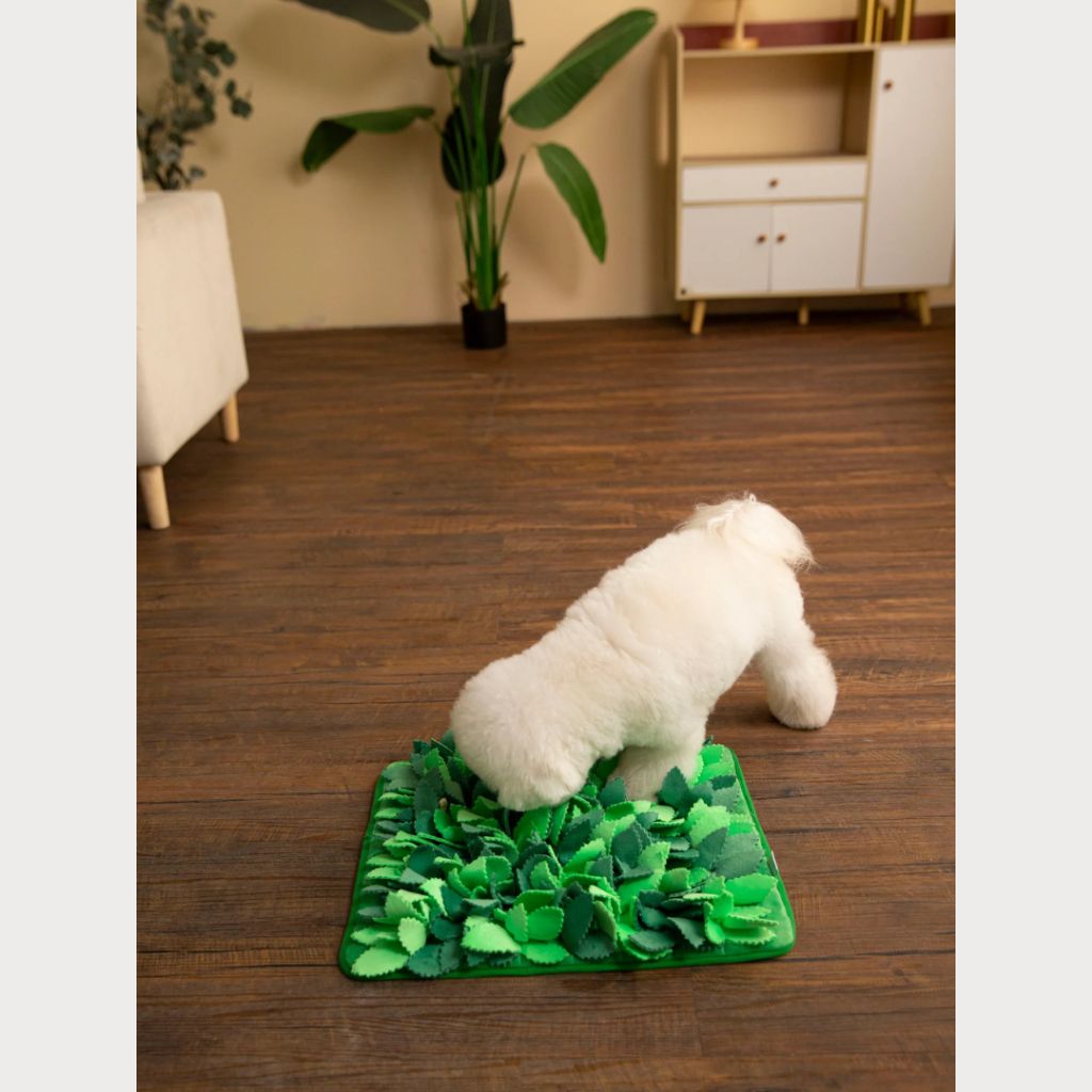 tw-11134207-81ztk-mgd8sjb9juvd3a