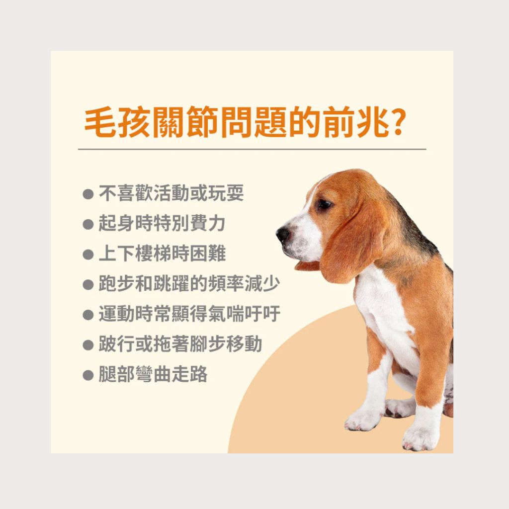 tw-11134207-81ztj-mfj9k7j981sa99