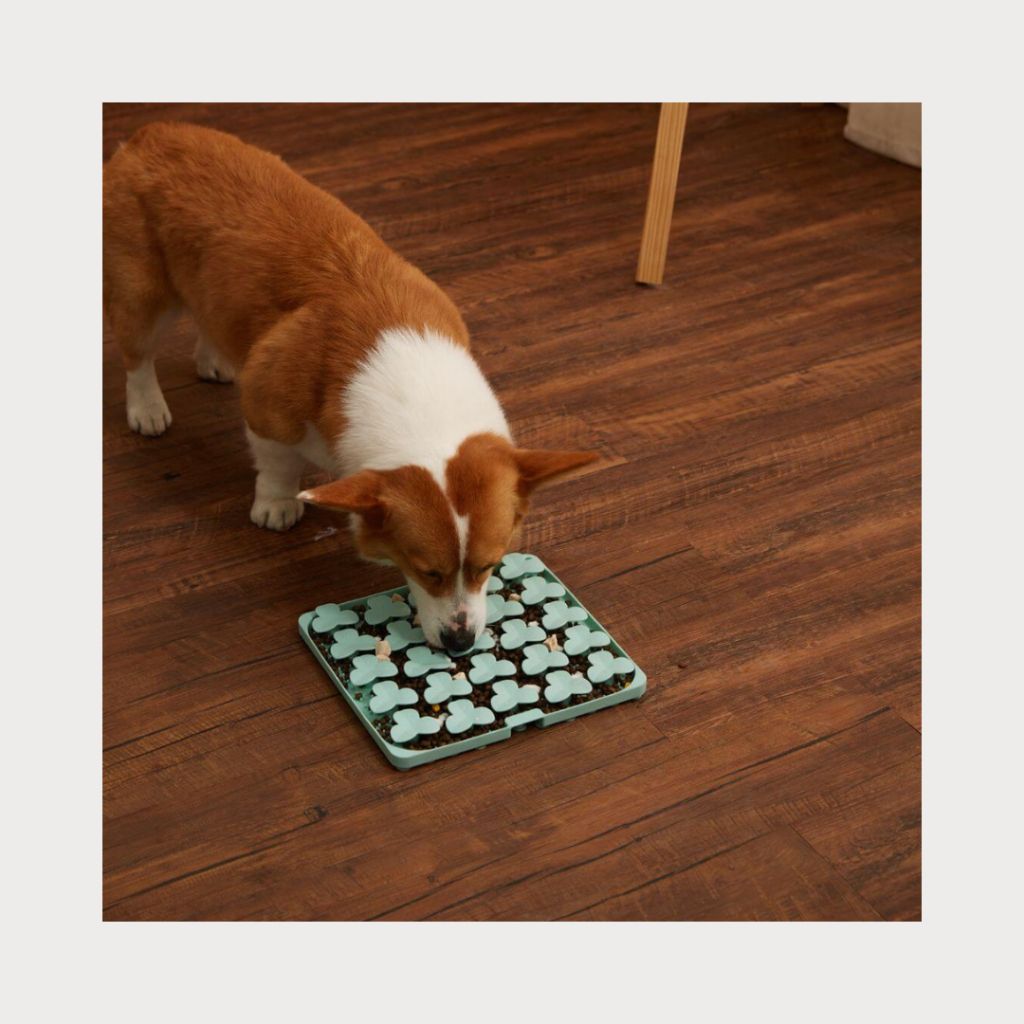 tw-11134207-81ztq-mgd86xwf0php75