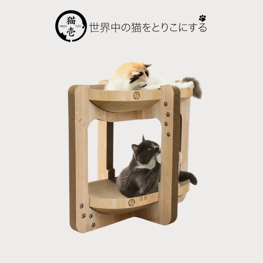 tw-11134207-7rasc-m1phnilf5yjhe3