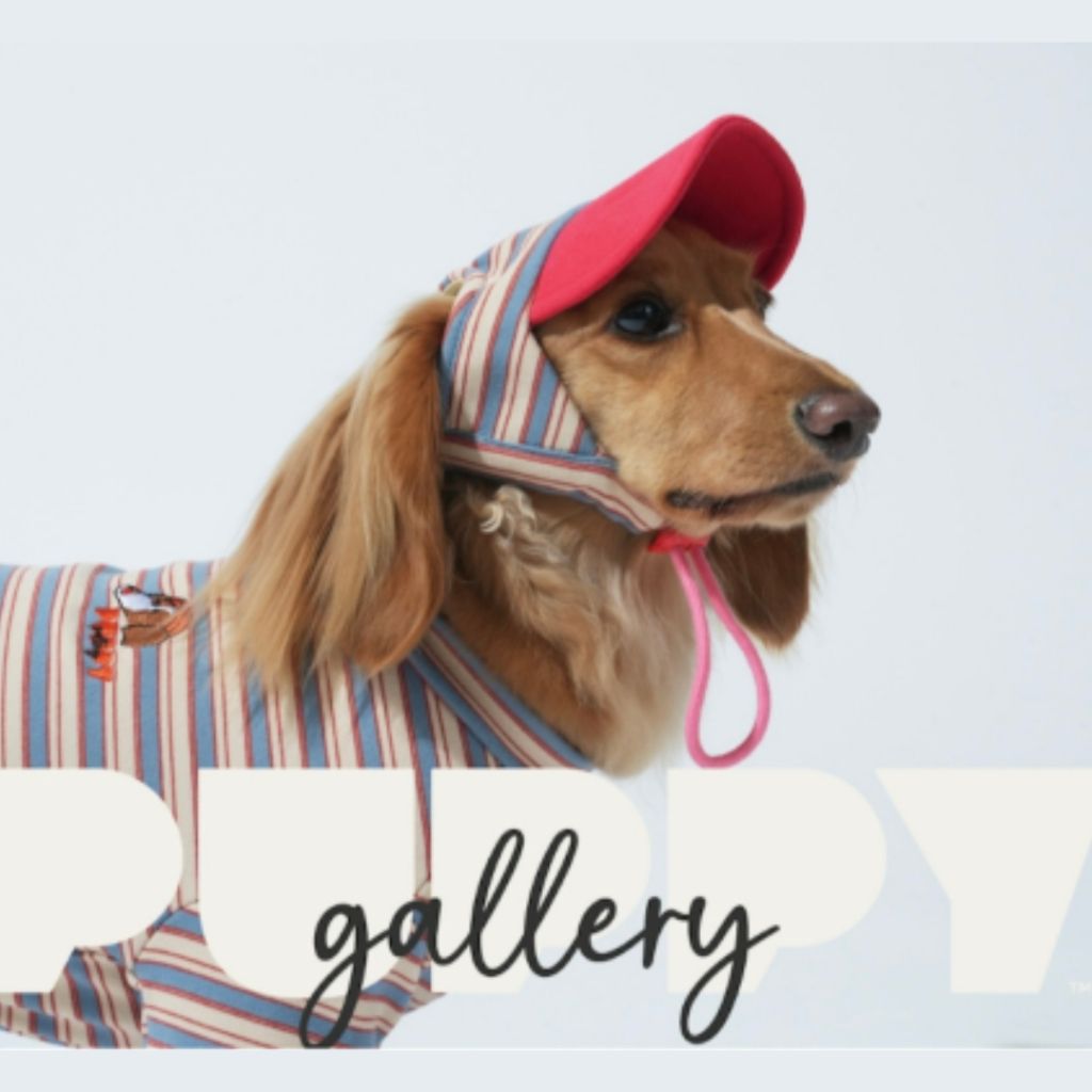 tw-11134207-81ztl-mfjkccijcbgo3f