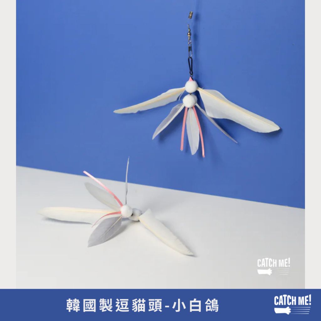 tw-11134207-81ztj-mfaqgifae22wb1